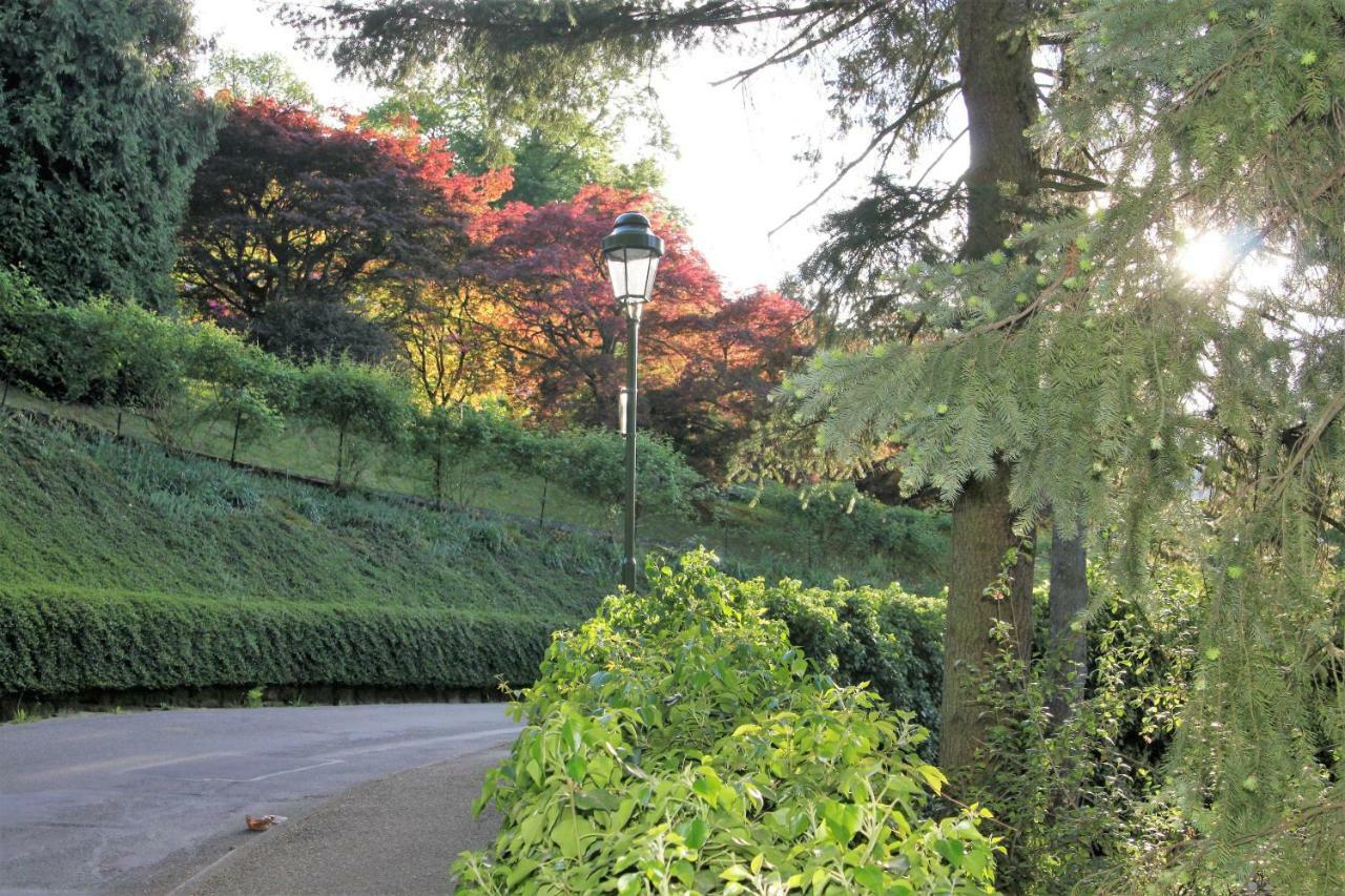 Family Suites & Parking Baden-Baden Eksteriør billede